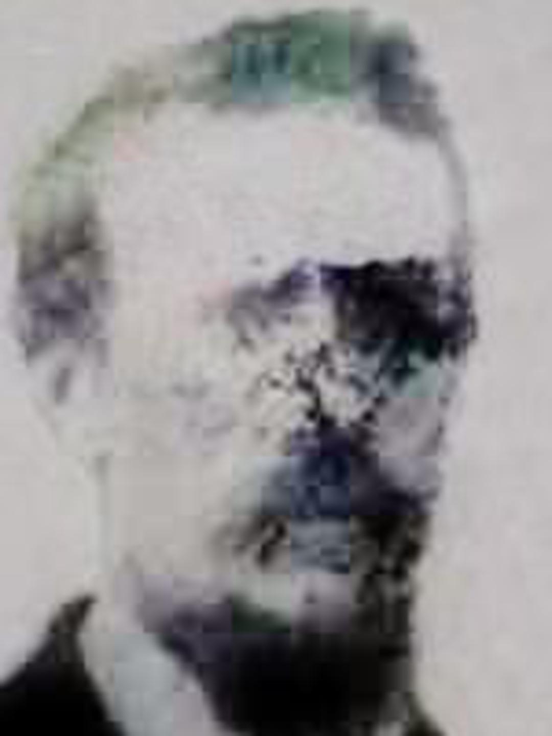 Cyrus Hancock (1841 - 1905) Profile